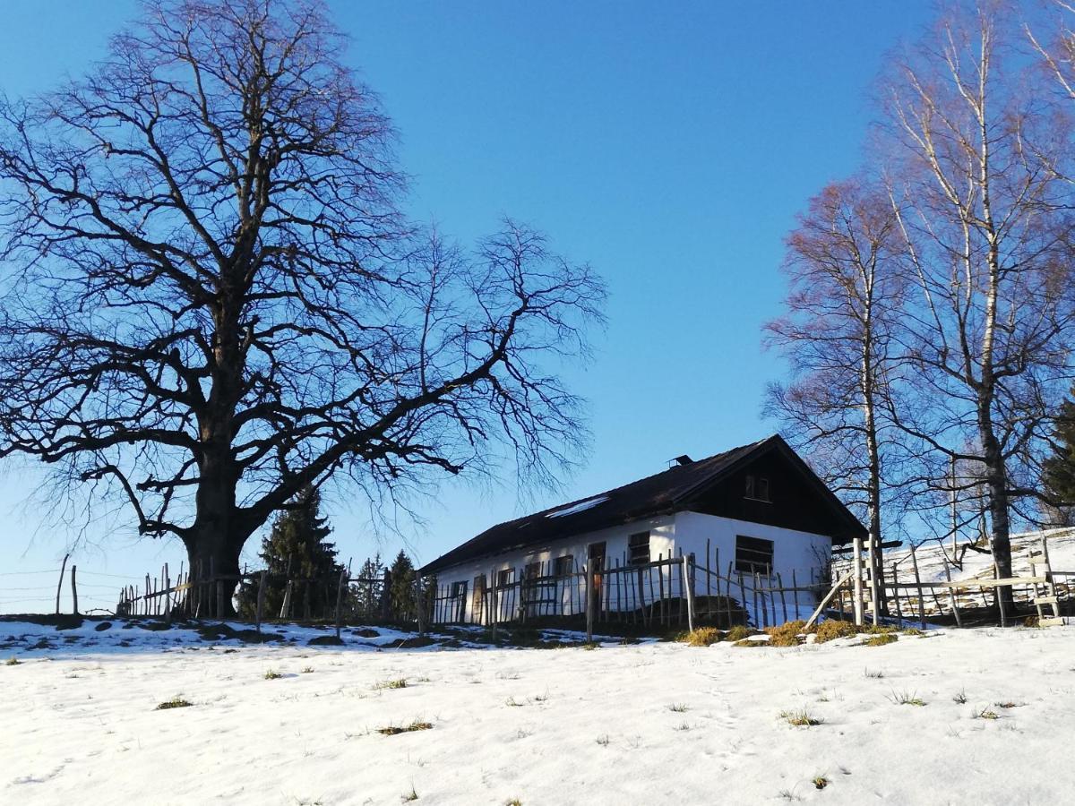 Appartement Alpblick Sonthofen Exterior foto