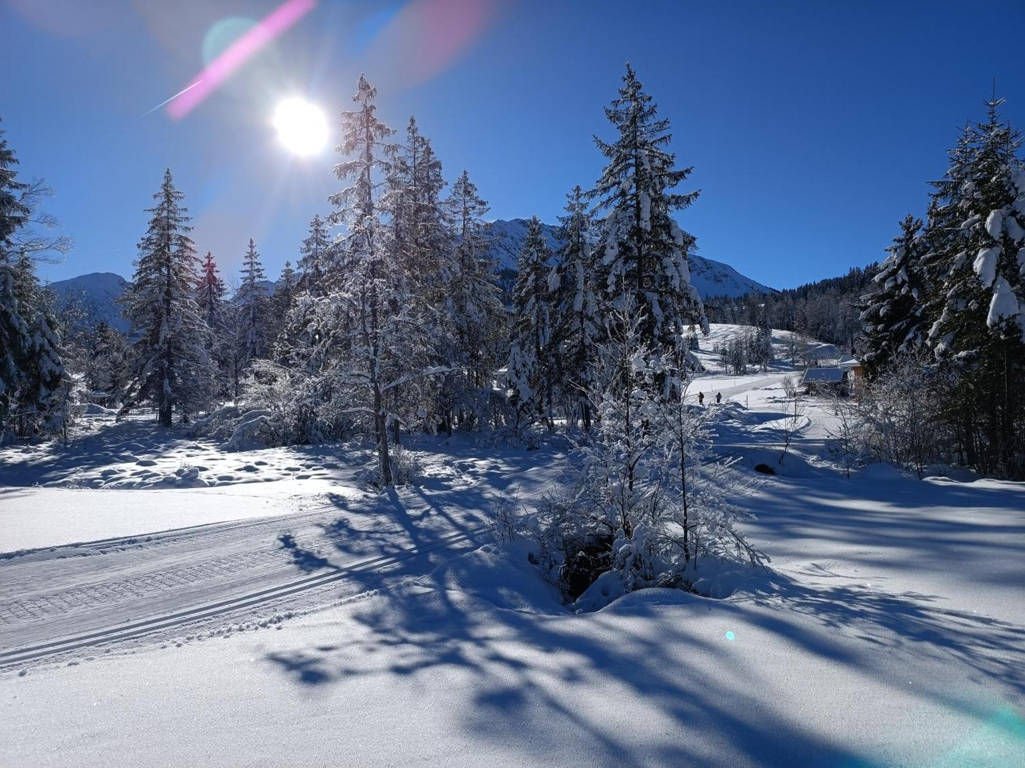 Appartement Alpblick Sonthofen Exterior foto