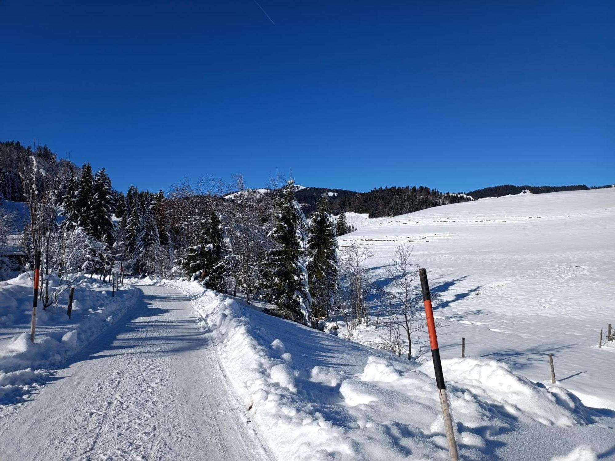 Appartement Alpblick Sonthofen Exterior foto